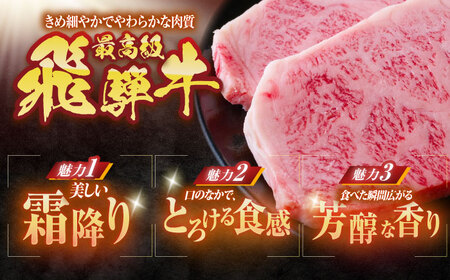 【6回定期便】 ※冷蔵配送/地域限定※ 飛騨牛 サーロインステーキ 240g×2枚 瑞浪市 / きなぁた瑞浪 和牛 国産 岐阜県産[AZCI093]