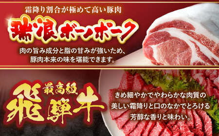 【3回定期便】 ※冷蔵配送/地域限定※ 飛騨牛 ボーノポーク 焼肉セット 合計1kg 瑞浪市 / きなぁた瑞浪 和牛 国産 岐阜県産[AZCI095]