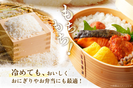 米 精米 夢つくし 5kg 福岡県産  [um40azo780016] 米