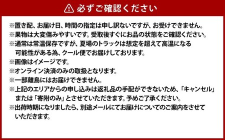 白桃 晩生種（大玉） 6～7玉（約2.2kg）岡山 桃 晩生種 白麗 瀬戸内白桃 果肉 固め 大玉【2026年8月上旬～9月下旬発送予定】