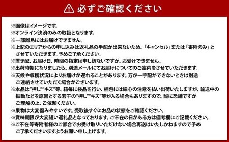 岡山の白桃 （大玉 ／ 晩生種） 3玉 （1玉約300g） 計約900g 桃 もも モモ 白桃 くだもの 果物 国産フルーツ 国産 岡山県 倉敷市  【2026年8月上旬～8月下旬発送予定】