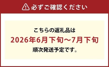岡山の白桃 （大玉 ／ 早生種） 3玉 （合計約840g） 桃 もも モモ 白桃 くだもの 果物 国産フルーツ 国産 岡山県 倉敷市 【2026年6月下旬～7月下旬迄順次発送予定】