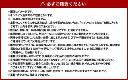 《ご家庭用》 白桃 （晩生種）  5～6玉 （合計約1.5kg） 桃 もも モモ 白桃 くだもの 果物 国産フルーツ 国産 岡山県 倉敷市 【2026年8月上旬～8月下旬発送予定】