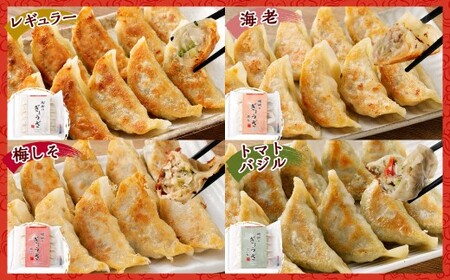 ＜樹樹の餃子4種のセット計70個＞翌月末迄に順次出荷【TVで話題沸騰！】【c648_kk_x3】