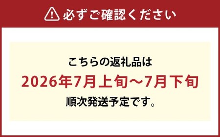 白桃 5玉（合計約1.3kg）果物 デザート スイーツ フルーツ 果肉 美味しい 甘い 柔らかい 上品【2026年7月上旬～7月下旬迄順次発送予定】