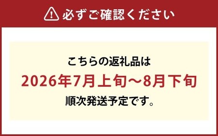 《ご家庭用》 おかやまの桃（大玉）3玉 （合計約900g） もも 桃 岡山県産 国産 フルーツ スイーツ 大玉 果肉 美味しい 甘い 柔らかい 岡山県 倉敷市【2026年7月上旬～8月下旬迄順次発送予定】