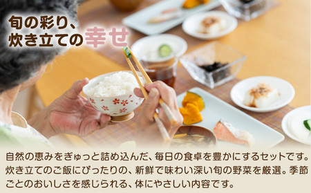 米 野菜 詰め合わせ 季節の野菜 きぬむすめ ひのひかり おまかせ 米5kg+野菜5種 ありがとう園《30日以内に出荷予定(土日祝除く)》岡山県 矢掛町 お米 白米 旬の野菜