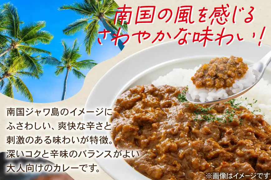 ハウス ジャワカレー キーマカレー 10個 [翔栄通商 愛知県 江南市 ko23btu570019]