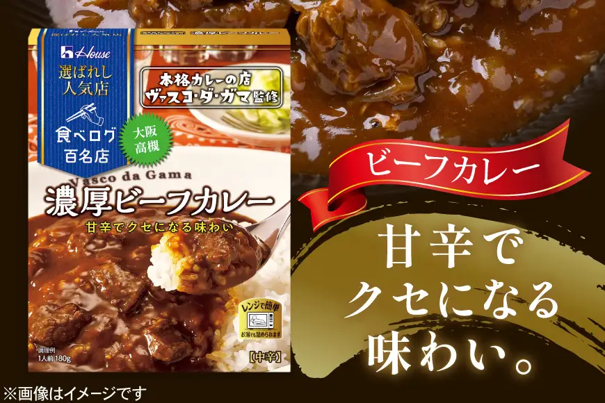 ハウス 選ばれし人気店 濃厚ビーフカレー 20個 [翔栄通商 愛知県 江南市 ko23btu570032]