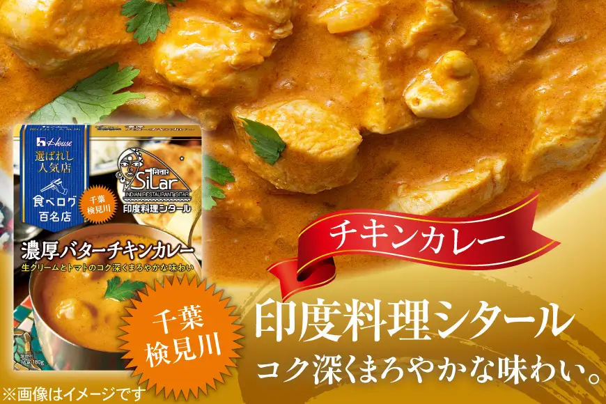 選ばれし人気店 芳醇チキンカレー＆濃厚バターチキンカレー 各10個 計20個 [翔栄通商 愛知県 江南市 ko23btu570046]