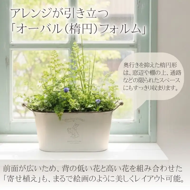 アイアンポット リバーシブル オーバル M L 2個セット