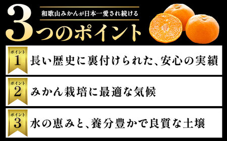 みかん ご家庭用みかん約10kg