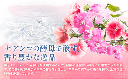 球磨焼酎 あさぎりの花 25度 720ml 2本 焼酎 米焼酎