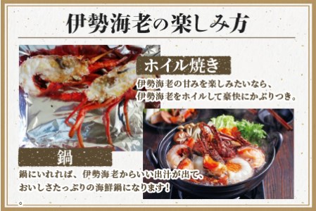 【0560-4】冷凍伊勢海老カット（サイズ不揃い）約2kg