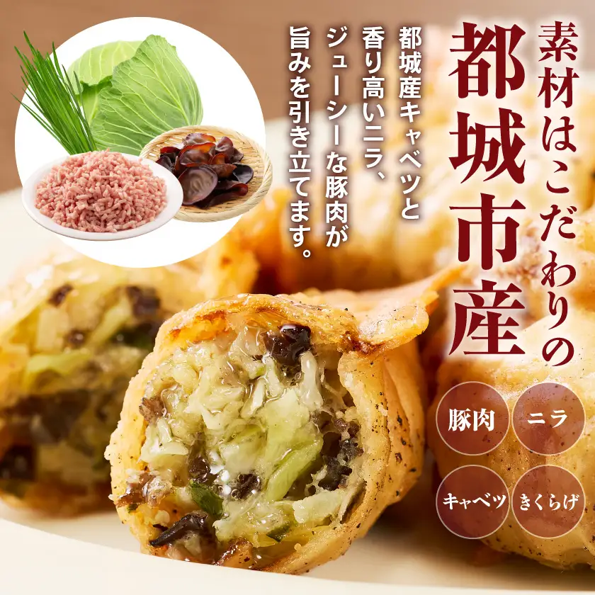 食感が癖になる!きくらげ餃子40個〔LG-87-001-40〕