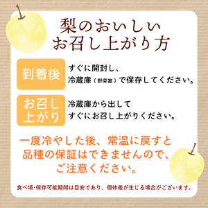 【 数量限定 】 梨 おまかせ 約3kg 【 梨 】