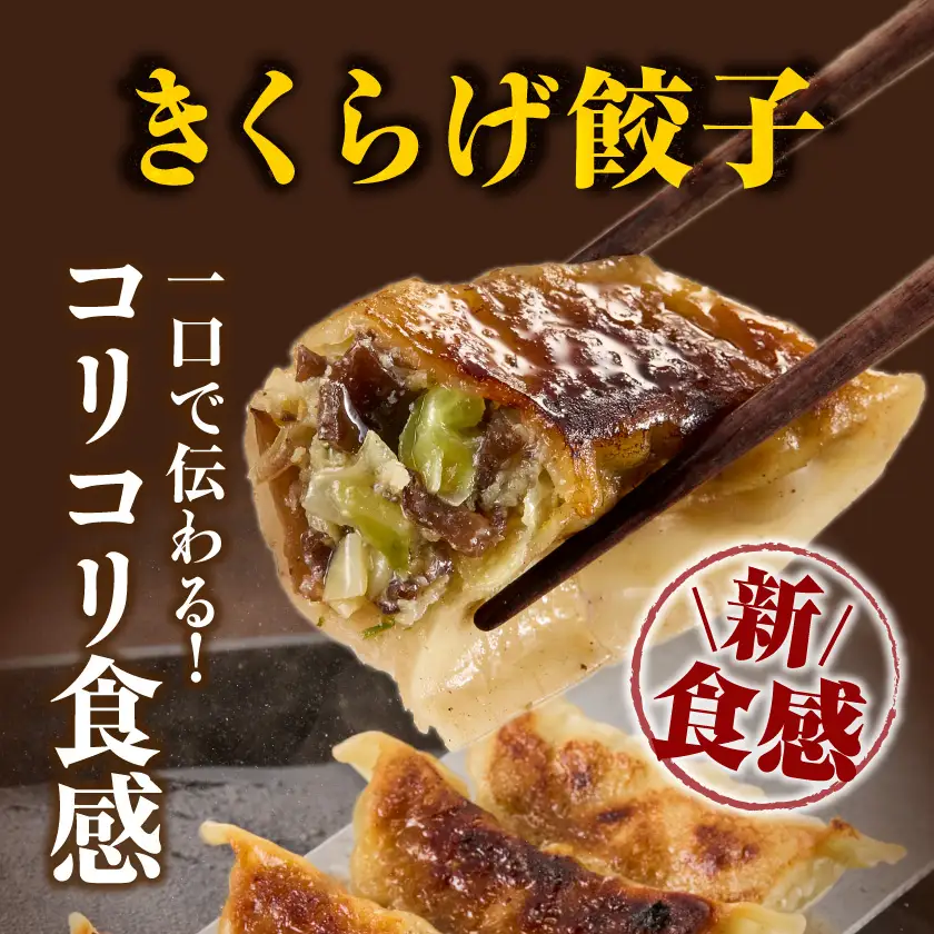 香りを堪能「きのこ餃子」&食感楽しむ「きくらげ餃子」食べ比べ66個〔12-87-002〕_(都城市) ギョウザ きくらげ餃子 きのこ餃子 にんにく使用 大杉しいたけ園 2種 食べ比べ 焼き餃子 水餃子 揚げ餃子