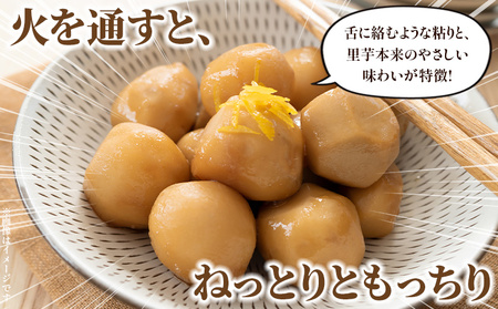 先行予約＜朝霧育ちのねっとり里芋 約1kg＞野菜 やさい さといも サトイモ 国産里芋 愛媛県産 野村町 ねっとり 粘り ほくほく もちもち 新鮮 煮物 家庭用 料理用 冬野菜 期間限定 数量限定 ノムランド 愛媛県 西予市【常温】『2026年12月頃より順次出荷予定』NNM0011
