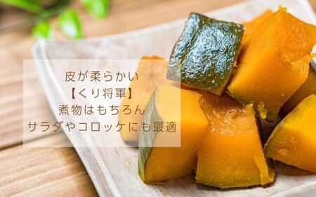 【先行受付】 山梨県 中央市産 かぼちゃ 【くり将軍】 約4～5kg 栗将軍 南瓜 カボチャ 野菜 山梨県 中央市 【2026年10月上旬〜11月下旬発送予定】