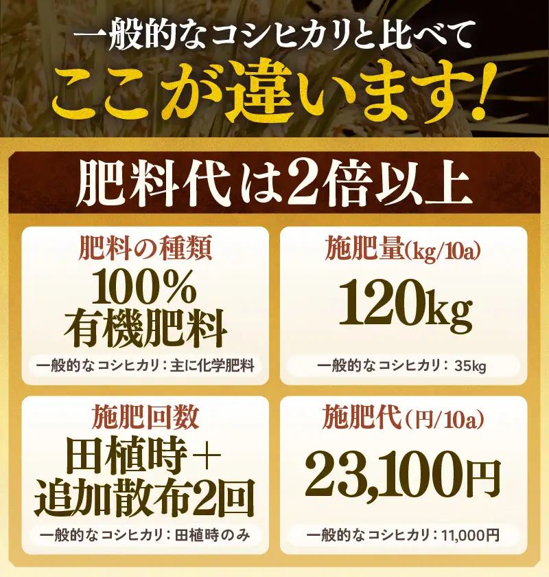 【先行予約】【令和8年産 新米】定期便《6ヶ月連続お届け》コシヒカリ 玄米 5kg × 6回（計30kg）特別栽培米 農薬不使用 化学肥料不使用 ／ 残留農薬ゼロ 高品質 鮮度抜群 福井県産 ブランド米 ※2026年10月上旬以降順次発送 [aw063-i002]