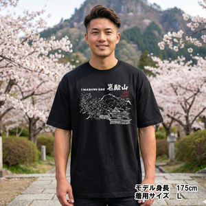 オリジナルTシャツ　岩殿山　山T　S/M/L/XL