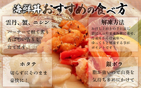 贅沢 網走海鮮丼セット「5人前」 ABJ023