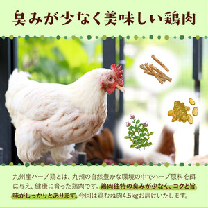 【12ヶ月定期便】九州産 ハーブ鶏 ムネ肉 計54kg 4.5kg×12回 植田商事有限会社 《お申し込み月の翌月から出荷開始》 熊本県 菊池市 鶏肉 むね肉 お肉 からあげ 親子丼 チキンカレー 煮物 サラダチキン 冷凍 国産 送料無料