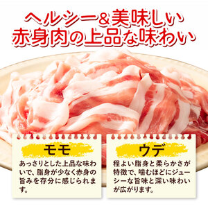 【12ヶ月定期便】熊本県産 豚肉 モモスライス ウデ こま切れ セット 合計 約36kg 約3kg×12回 植田商事有限会社 《お申し込み月の翌月から出荷開始》 熊本県 菊池市 モモ ウデ 詰め合わせ 豚 お肉 肉 国産 九州産 冷凍 送料無料