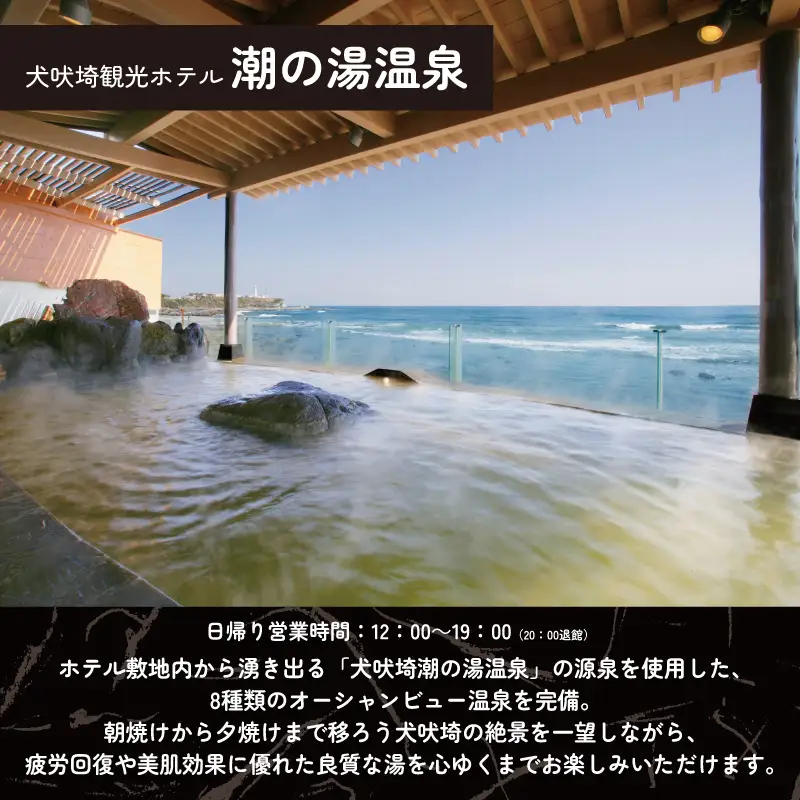 温泉 犬吠埼温泉 温泉利用券 平日限定 5回分
