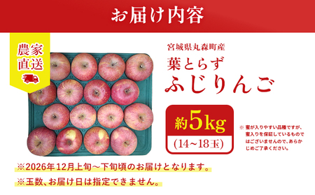 【先行予約】《2026年12月上旬～12月下旬出荷》宮城県丸森町産　葉とらずふじりんご　14～18個入り（約5kg）　1箱【48001】