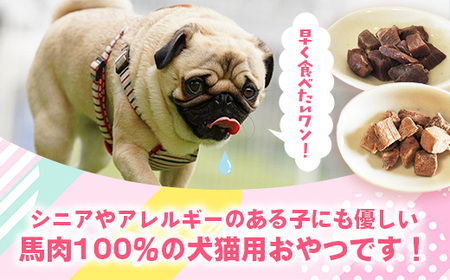 【定期便6回】 馬肉100％ 犬猫用おやつ 25g×6袋 - フリーズドライ ペット 健康 おやつ