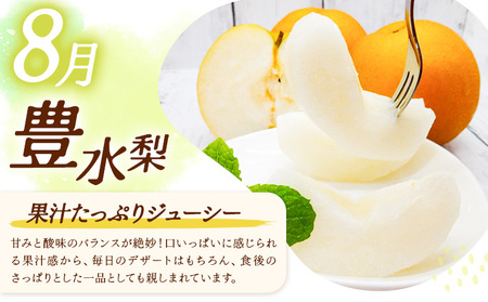 【3ヶ月定期便】梨 定期便 秀品 3ヶ月連続 梨の定期便 ミニ 計5.4kg 日本フルーツ株式会社《8月上旬-10月末頃出荷》熊本県 長洲町 なし ナシ 豊水梨 秋月梨 新高梨 果物 フルーツ