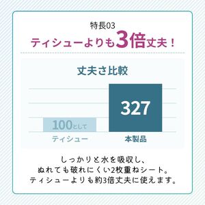 定期便 ペーパータオル スコッティ キレイの仕上げ 5箱 × 8パック《 4ヶ月ごと計3回 》ペーパータオルセット
