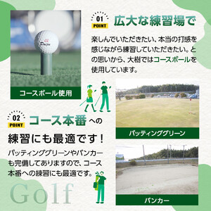 【日本最大級 400打席 ゴルフ練習場】ゴルフ倶楽部大樹 大府店 施設利用券 【3,000円分】
