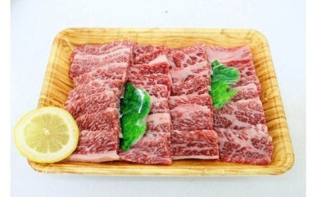 【A5ランク】博多和牛焼肉用(バラ）500g[H2165]