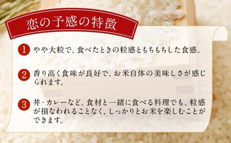 036-1254x3 ジオ蔵出し色選米 特別栽培米 10kg (5kg×2袋) 令和7年産 大分県 豊後大野市産 大分県選択銘柄登録品種 「恋の予感」 米 精米