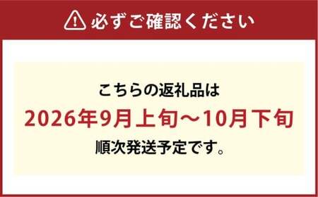 [HS]シャインマスカット 晴王 2房 約1.2kg【2026年9月上旬～10月下旬発送予定】マスカット 葡萄 ぶどう ブドウ フルーツ 果物 くだもの デザート 冷蔵 岡山県 倉敷市