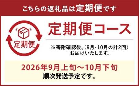 [HS]【2回定期便】船穂産 赤秀 シャインマスカット 晴王 2房〈合計約1.3kg〉【2026年9月上旬～10月下旬発送予定】マスカット 葡萄 ぶどう ブドウ フルーツ 果物 くだもの デザート 冷蔵 岡山県 倉敷市