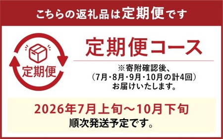 [HS]【4回定期便】温室・露地 シャインマスカット 晴王 1房 約600g【2026年7月上旬～10月下旬発送予定】マスカット 葡萄 ぶどう ブドウ フルーツ 果物 くだもの デザート 冷蔵 岡山県 倉敷市