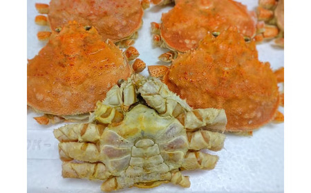【訳あり】オオズワイガニ甲羅　１kg×2袋【カニ　かに　冷凍　甲羅　カニみそ　カニミソ　海産物　簡単　無添加　北海道　国産　シーフード　わけあり　ワケアリ　ふるさと納税】（K0014）