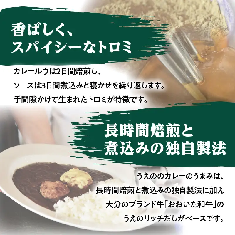 九州クラフト うえの焙煎ビーフカレー 冷蔵 3袋 K03040