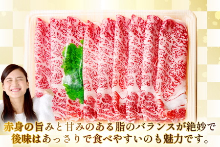 AJ551 【6回定期便】長崎和牛 リブロース スライス 約1kg (500g×2P)   [ まるしん商会 長崎県 島原市 ]