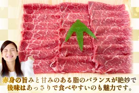 AJ553 【3回定期便】長崎和牛 もも スライス 約500g   [ まるしん商会 長崎県 島原市 ]