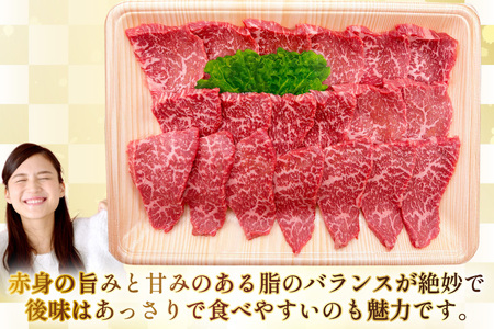 AJ570 【12回定期便】長崎和牛 もも 焼肉用 約1kg (500g×2P)   [ まるしん商会 長崎県 島原市 ]