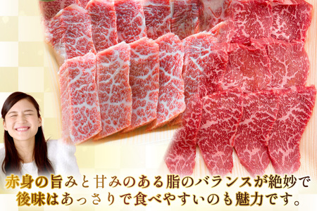 AJ573 【12回定期便】長崎和牛 焼肉セット 計約1kg バラ 霜降り(500g)・もも(500g)   [ まるしん商会 長崎県 島原市 ]