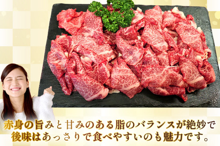AJ575 【6回定期便】長崎和牛 切り落とし (もも・バラ) 約500g   [ まるしん商会 長崎県 島原市 ]