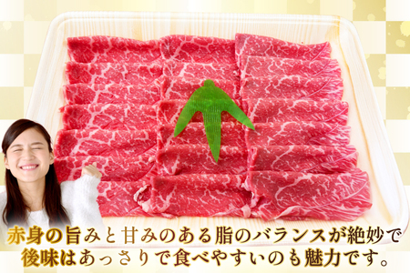 AJ582 【12回定期便】長崎和牛 もも しゃぶしゃぶ用 約500g   [ まるしん商会 長崎県 島原市 ]