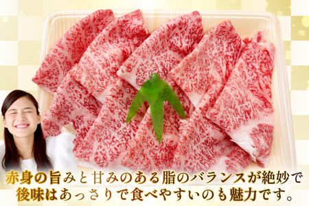 AJ584 【6回定期便】長崎和牛 リブロース しゃぶしゃぶ用 約500g   [ まるしん商会 長崎県 島原市 ]