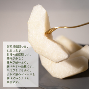 ＜農家直送＞梨 にっこり 4～6個 (3kg) 先行予約 2026年発送 完熟 フルーツ 果物 産地直送 糖度 高い 梨 茨城 人気  (BB006)