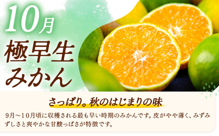 秀品 温州みかん 3ヶ月 定期便 ミニ 計9kg 日本フルーツ株式会社《10月上旬-12月末頃出荷》熊本県 荒尾市 みかん 温州みかん ミカン 蜜柑 柑橘類 極早生 早生 中生 果物 フルーツ